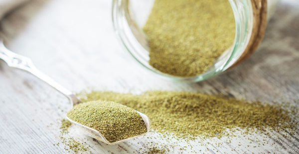 10 Incredible Kelp Powder Health Benefits You Should Know, According to a Nutritionist