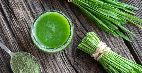 8 Amazing Barley Grass Juice Powder Benefits, According to a Dietitian