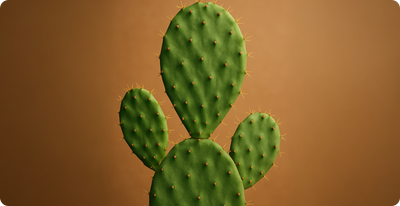 8 Nopal Cactus Benefits: Is This Prickly Plant Good for You?