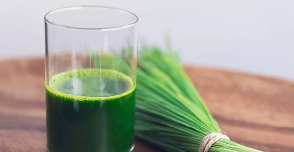 The Top 9 Benefits of Wheatgrass, a Nutritionist’s Perspective