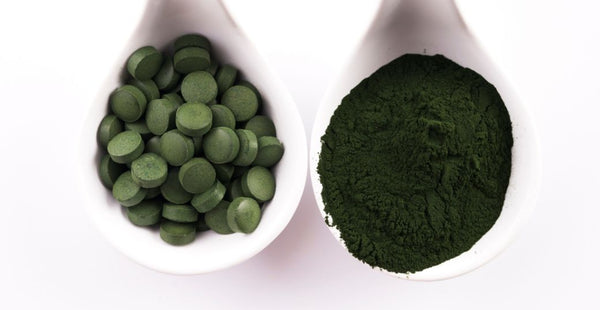 What Is Chlorella and What Does It Do? A Complete Guide