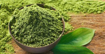The Best 5 Greens Powder for Bloating, According to a Dietitian