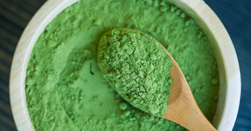 7 Best Greens Powders of 2024, Rated by a Dietitian