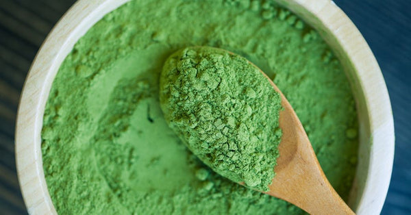 The Complete List: 8 Super Greens Powder Benefits