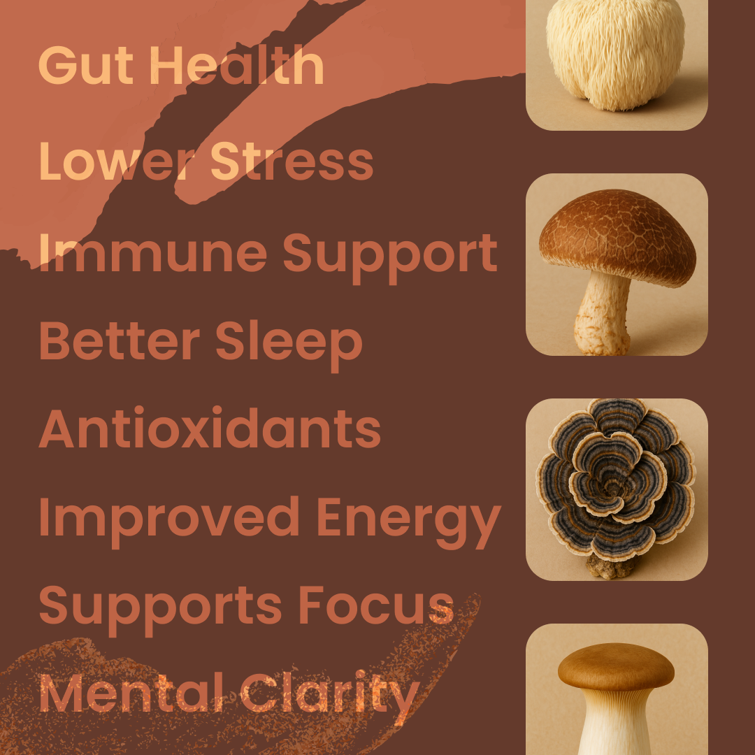 Morning Rise: Mushroom Coffee